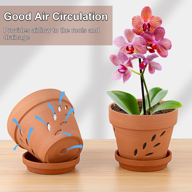 JUXYES 3 Pack Small Terracotta Orchid Pots with Holes and Saucers, Clay Orchid Planter Pots for Repotting, Plant Flower Pots for Orchid Indoor and Outdoor Promotes Air Circulation, 6 Inches - Image 5